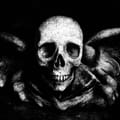 Image of: Ausiàs Tsel